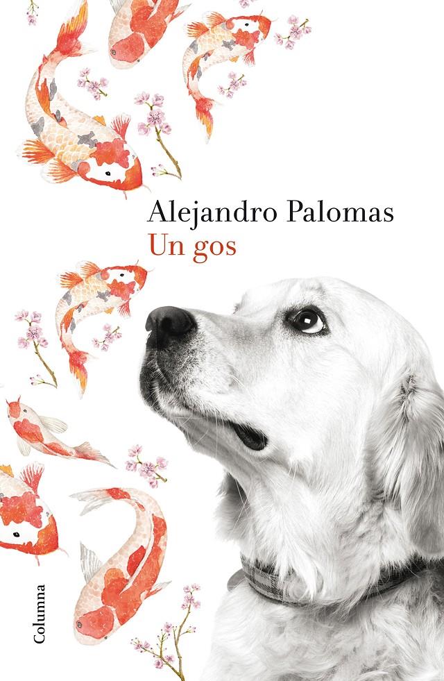 Un gos | 9788466420426 | Alejandro Palomas