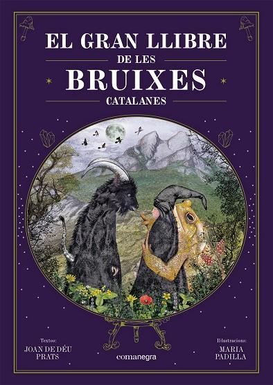 El gran llibre de les bruixes catalanes | 9788418857751 | Prats, Joan de Déu/Padilla Climent, Maria