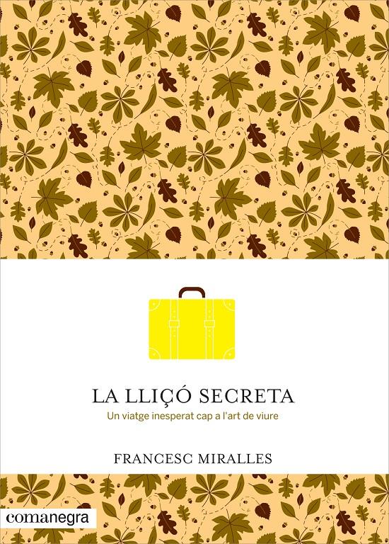 La lliçó secreta | 9788416033720 | Miralles i Contijoch, Francesc