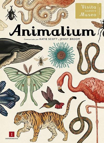 Animalium | 9788415979463