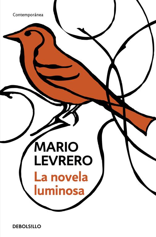 La novela luminosa | 9788499080260 | LEVRERO, MARIO